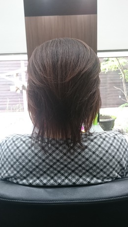 DSC_1237.JPG aya.JPG